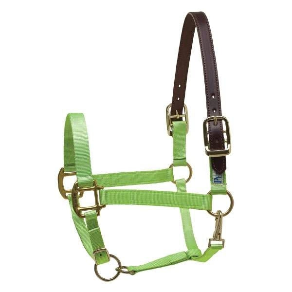 Perris Heavyweight Leather Halter Yearling Havana