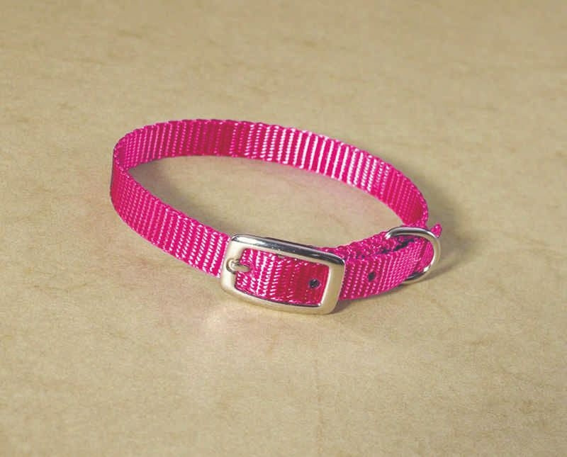 Hamilton Deluxe 3/8 Nylon Dog Collar 12 Hpk