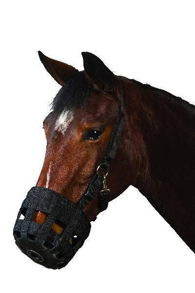 Roma Grazing Muzzle