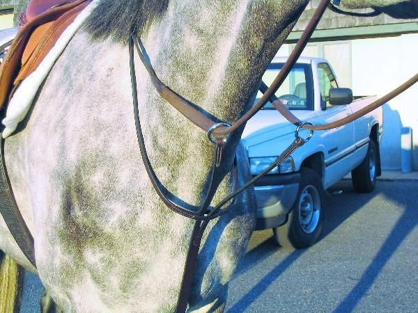 Nunn Finer Running Martingale Cob Black/Brass