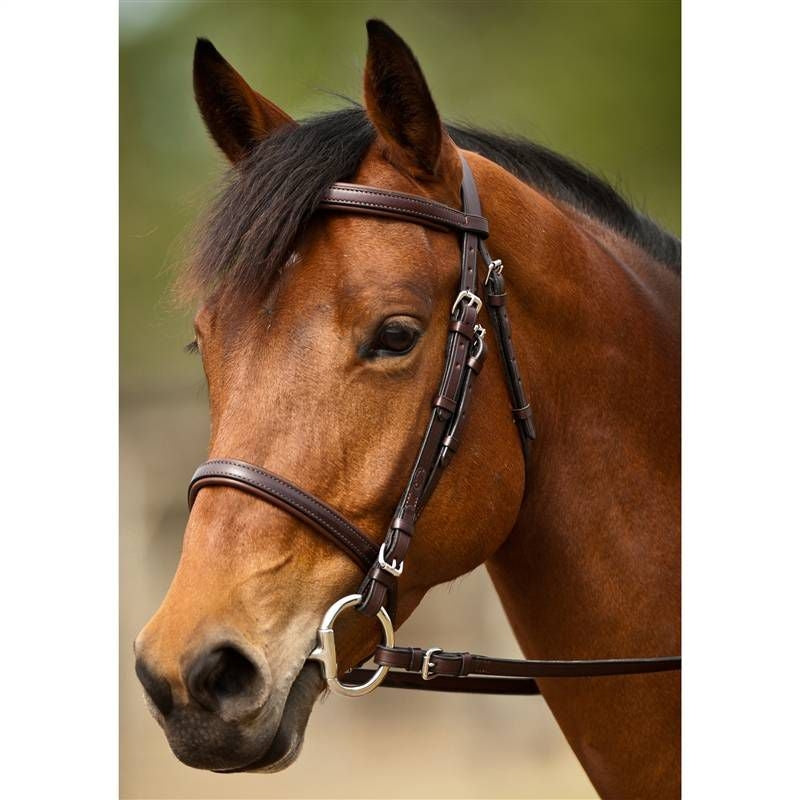 Nunn Finer Event Bridle Cob Blk/Brass