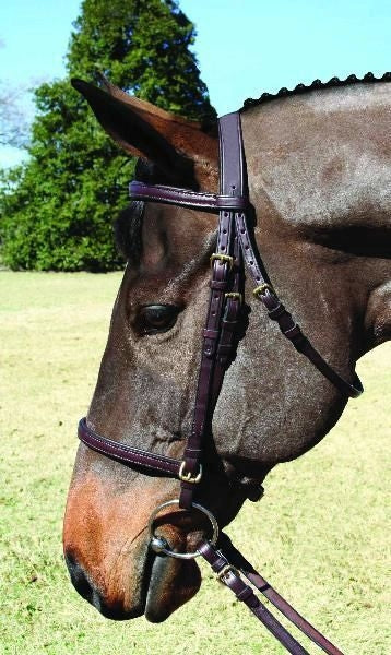 Nunn Finer Event Bridle Cob Blk/Brass