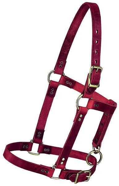 Weaver Riveted Halter with CatchStrap
