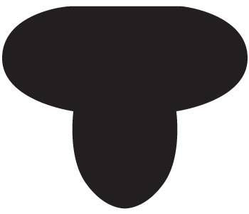 Cashel Race Exercise Shaped Cushion Pad 1 Blk