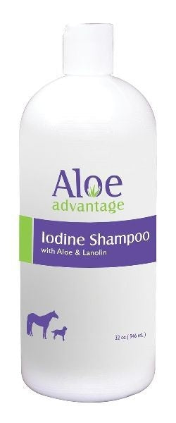 Aloe Iodine Shampoo 32oz
