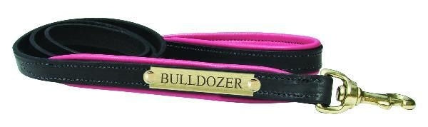 Perris Padded Leather Dog Leash