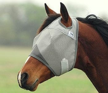 Cashel Crusader Fly Mask