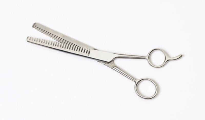 Equiessential Stainless Steel Thinning Shear