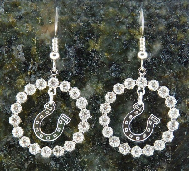 Crystal Ring Horseshoe Fish Hook Earrings Silver