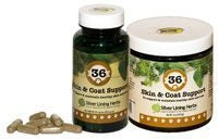 Silver Lining Skin/Coat Support Caps 90 Count
