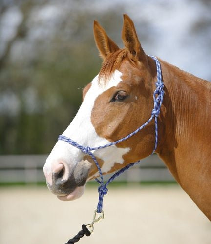 Rope Halter Navy White