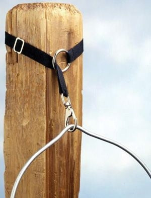 Extendable Bucket Strap Black