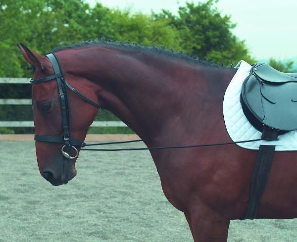 Elastic Training Rein 125 Black