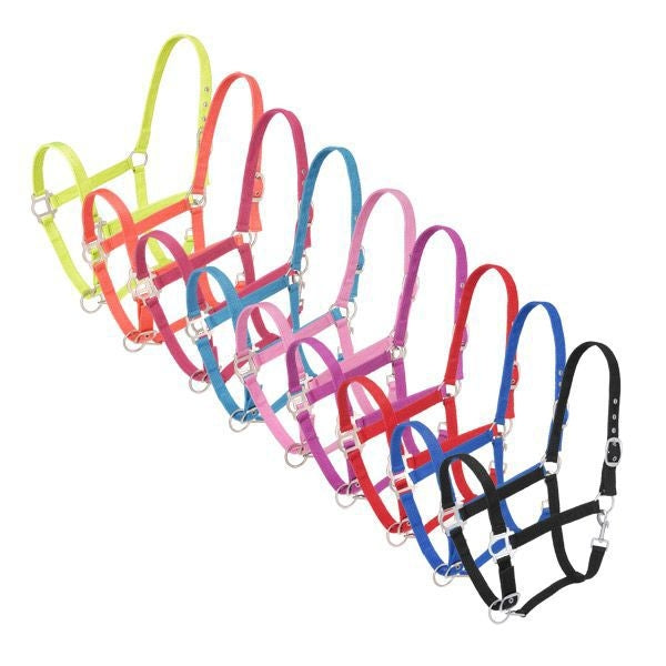 Tough1 6 Pack Nylon Halter With Satin HardwareBrn