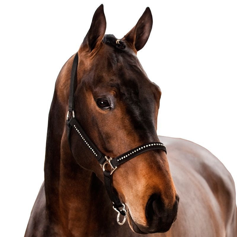 HorZe Nylon Halter With Diamonds