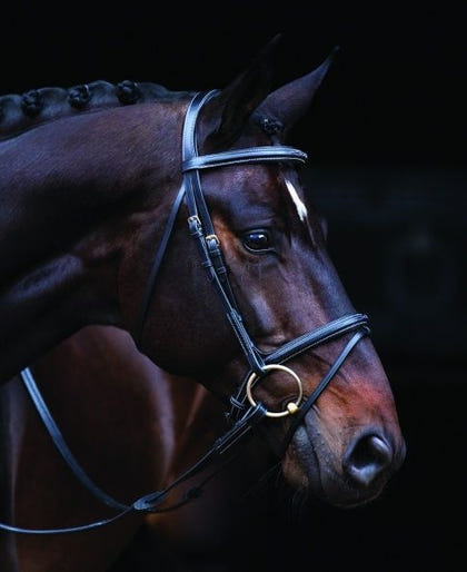 Amigo Deluxe Bridle Pony Black