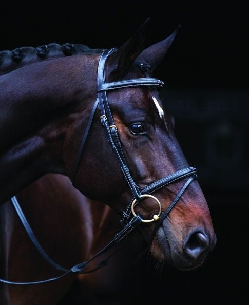 Amigo Deluxe Bridle Pony Black