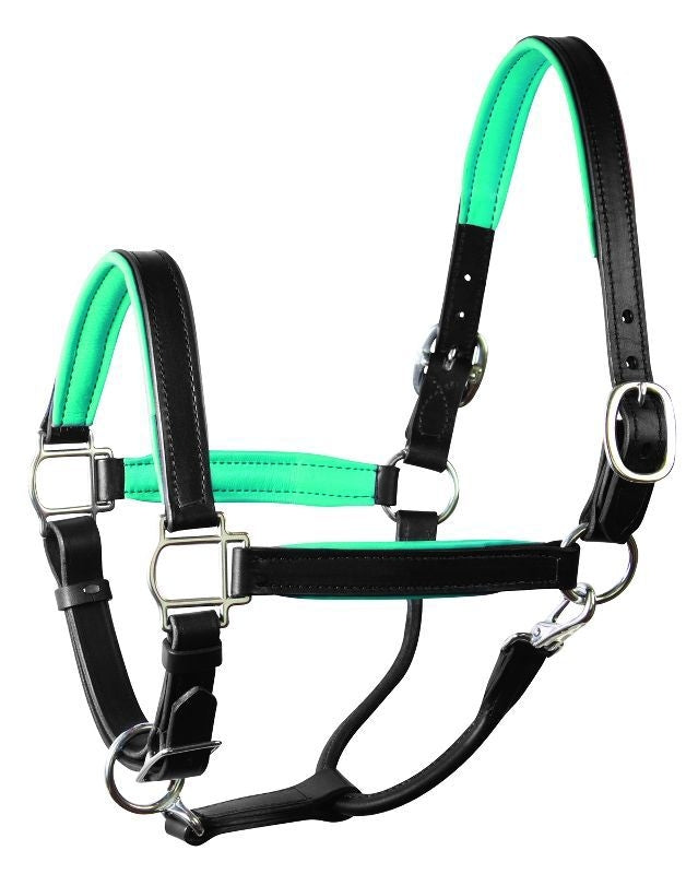 Perri's Soft Padded Leather Halter