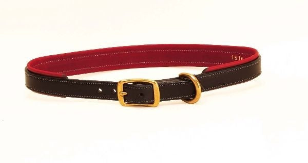 Tory 2-Tone Padded Leather Dog Collar 12in Brown