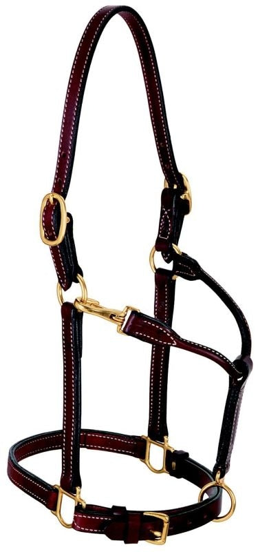 Weaver Leather 3/4Double Buckle Leather HalterBr