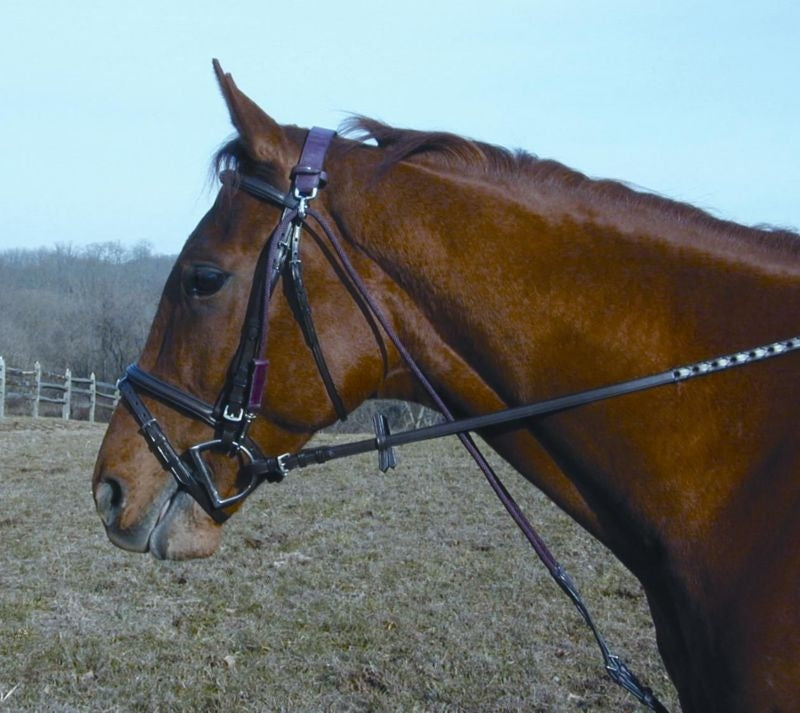 Proam Chambon Horse Brown