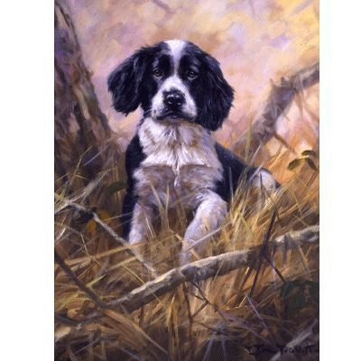 A Little Lost By John Trickett 7.5x10