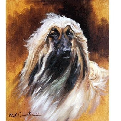 Afghan By Mick Cawston 6.25x7.5