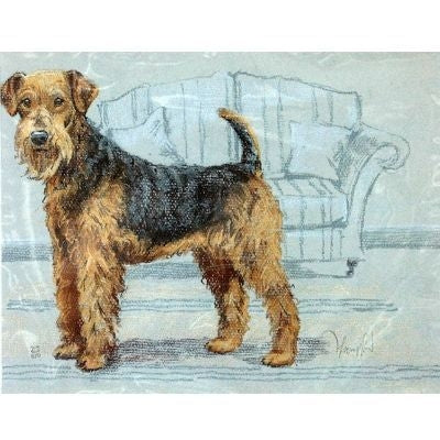 Airedale Terrier By David Thompson 12.75x10.75
