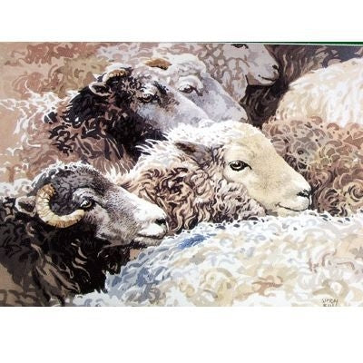 Amongst the Flock Sheep Cards - 6Pk 5x7