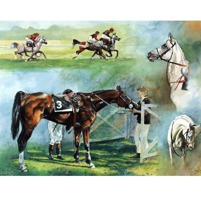 Arab Racing By Jo Campin 12.25x9.25