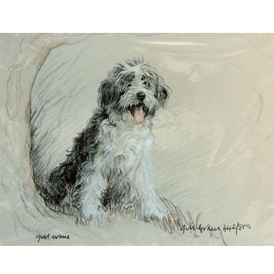 Bearded Collie By Gill Evans Matted 12.75x10.75