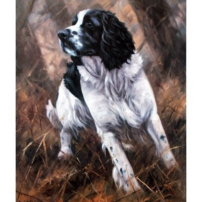 Black and White Springer By John Trickett 11x13.5