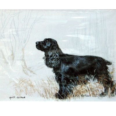 Black Cocker Spaniel By Gill Evans Matted