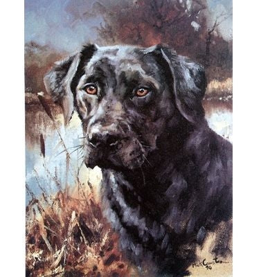 Black Lab By Mick Cawston 7x9.5