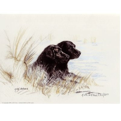 Black Labradors By Gill Evans Matted 12.75x10.75