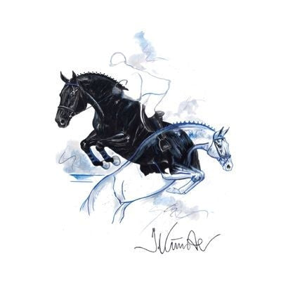 Bon Jour Show Jumper By Jan Kunster Matted