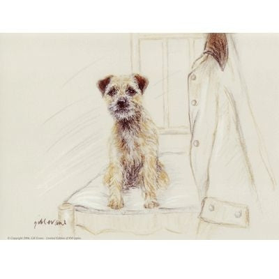 Border Terrier By Gill Evans Matted 12.75x10.75