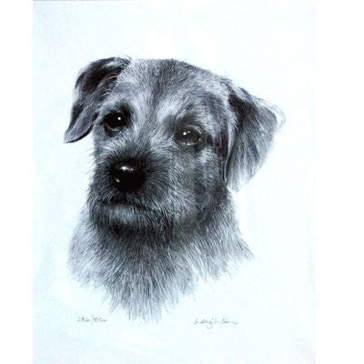 Border Terrier By Sandra Leighton 10.75x12.75
