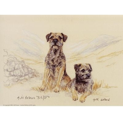 Border Terriers By Gill Evans 12.75x10.75