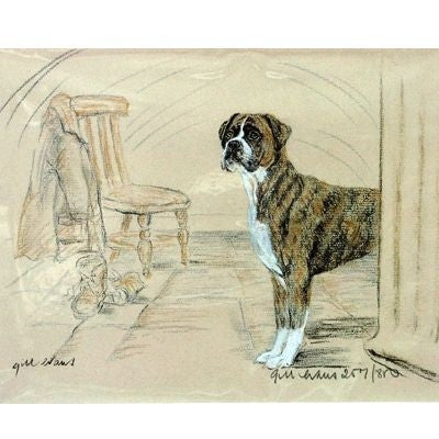 Boxer By Gill Evans Matted 12.75x10.75