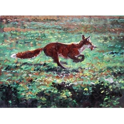 Cant Catch Me Fox Cards - 6Pk 5x7