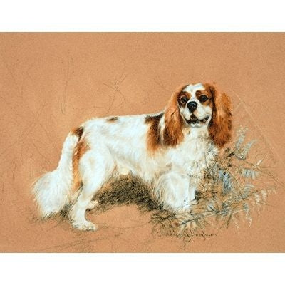 Cavalier Days By Debbie Gillingham 8x5.5