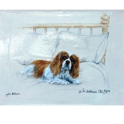 Cavalier King Charles Spaniel G Evans 12.75x10.75