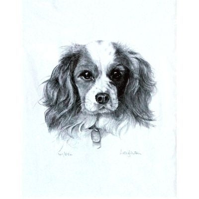 Cavalier King Charles Spaniel Leighton 10.75x12.75