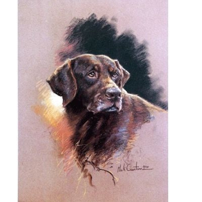 Chocolate Lab By Mick Cawston 7x9.5