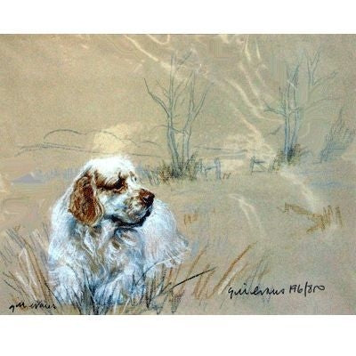 Clumber Spaniel By Gill Evans Matted 12.75 x 10.75