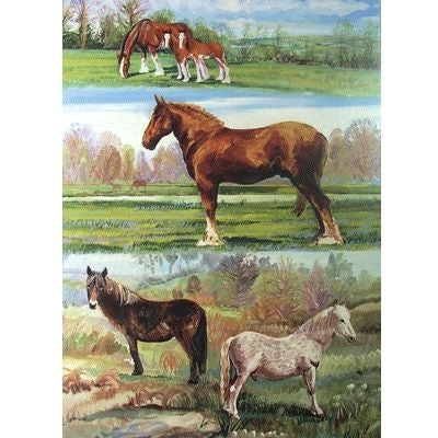 Clydesdale-Ponies Blank Greeting Card-6 Pack 5 x 7
