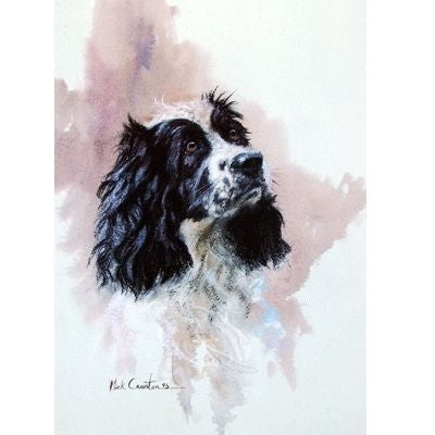 Cocker Spaniel By Mick Cawston 6.75 x 9.5