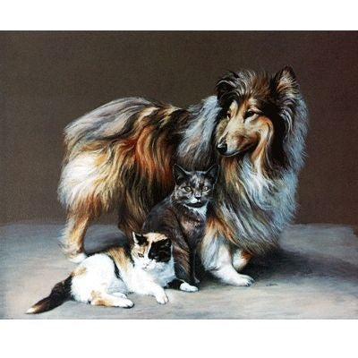 CollieandKittens By L. Tindall 11 x 8.5