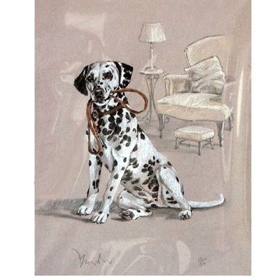 Dalmatian By David Thompson Matted 12.75 x 10.75